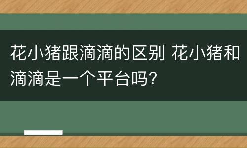 花小猪跟滴滴的区别 花小猪和滴滴是一个平台吗?