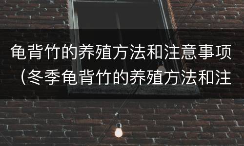 龟背竹的养殖方法和注意事项（冬季龟背竹的养殖方法和注意事项）