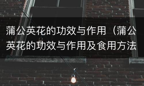 蒲公英花的功效与作用（蒲公英花的功效与作用及食用方法）