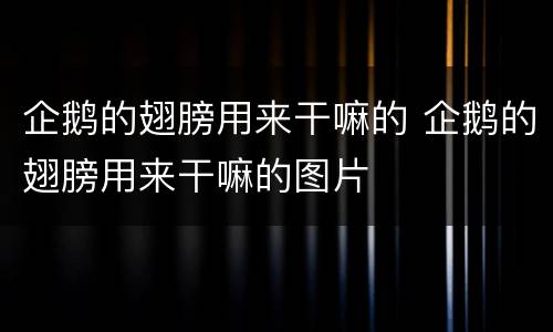 企鹅的翅膀用来干嘛的 企鹅的翅膀用来干嘛的图片