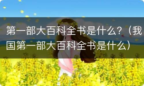 第一部大百科全书是什么?（我国第一部大百科全书是什么）