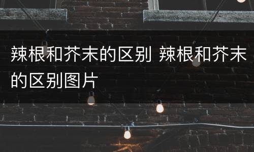 辣根和芥末的区别 辣根和芥末的区别图片