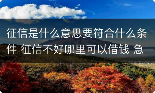 征信是什么意思要符合什么条件 征信不好哪里可以借钱 急用