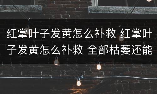 红掌叶子发黄怎么补救 红掌叶子发黄怎么补救 全部枯萎还能活吗