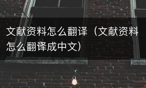 文献资料怎么翻译（文献资料怎么翻译成中文）
