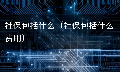 社保包括什么（社保包括什么费用）