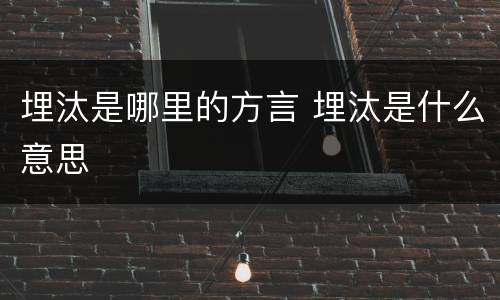 埋汰是哪里的方言 埋汰是什么意思