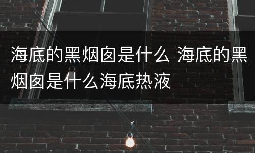 海底的黑烟囱是什么 海底的黑烟囱是什么海底热液