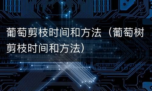 葡萄剪枝时间和方法（葡萄树剪枝时间和方法）