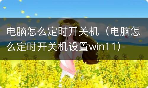 电脑怎么定时开关机（电脑怎么定时开关机设置win11）