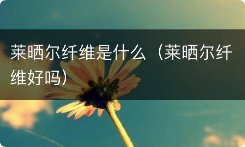 莱晒尔纤维是什么（莱晒尔纤维好吗）