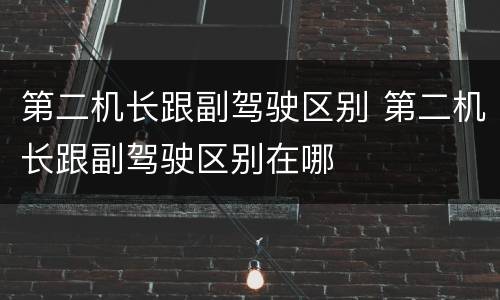 第二机长跟副驾驶区别 第二机长跟副驾驶区别在哪