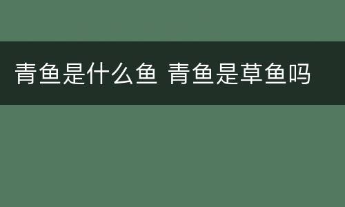 青鱼是什么鱼 青鱼是草鱼吗