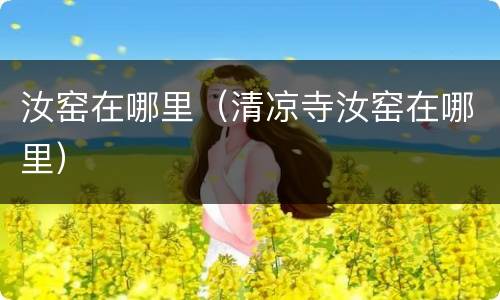汝窑在哪里（清凉寺汝窑在哪里）