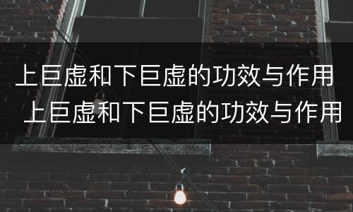 上巨虚和下巨虚的功效与作用 上巨虚和下巨虚的功效与作用区别