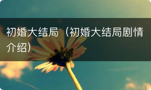 初婚大结局（初婚大结局剧情介绍）