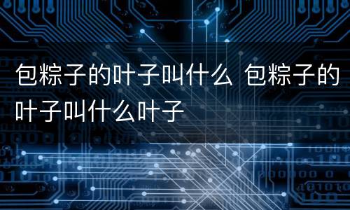 包粽子的叶子叫什么 包粽子的叶子叫什么叶子