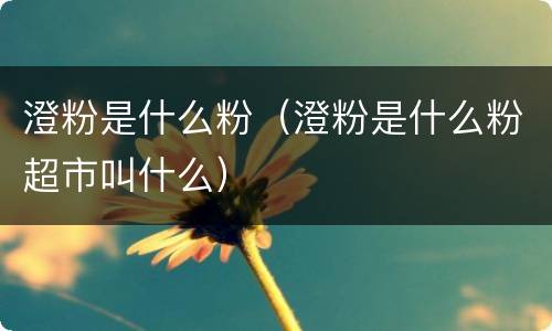 澄粉是什么粉(澄粉是什么粉超市叫什么) 澄粉是什么粉(澄粉是什么粉超市叫什么)