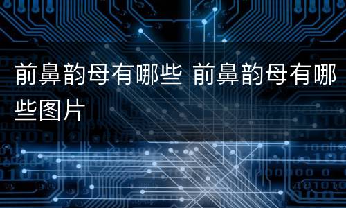 前鼻韵母有哪些 前鼻韵母有哪些图片