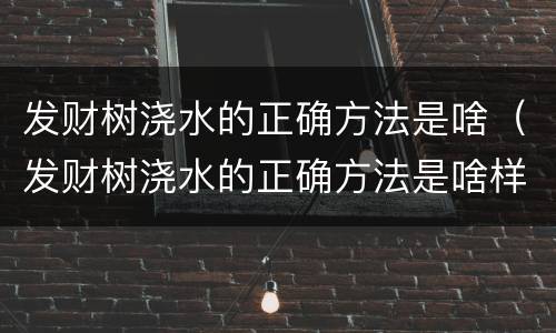 发财树浇水的正确方法是啥（发财树浇水的正确方法是啥样的）