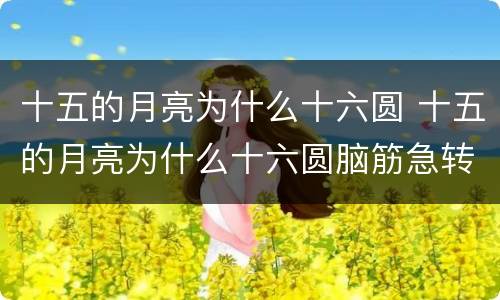 十五的月亮为什么十六圆 十五的月亮为什么十六圆脑筋急转弯
