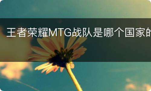 王者荣耀MTG战队是哪个国家的