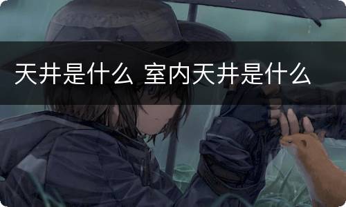 天井是什么 室内天井是什么