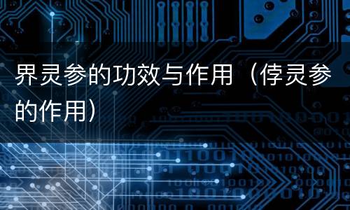 界灵参的功效与作用（侼灵参的作用）