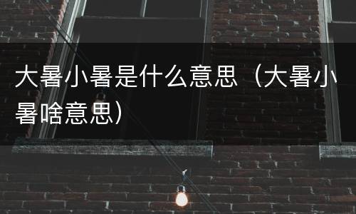 大暑小暑是什么意思（大暑小暑啥意思）
