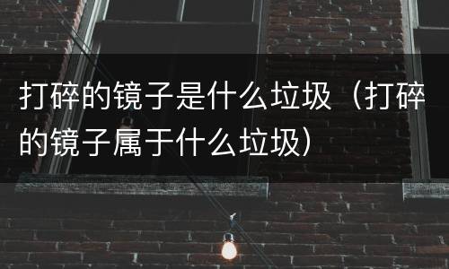 打碎的镜子是什么垃圾（打碎的镜子属于什么垃圾）