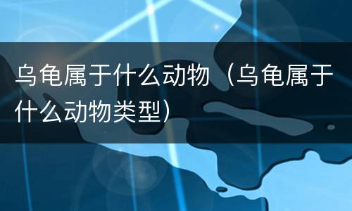 乌龟属于什么动物（乌龟属于什么动物类型）