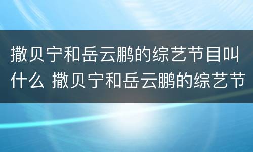 撒贝宁和岳云鹏的综艺节目叫什么 撒贝宁和岳云鹏的综艺节目叫什么名字