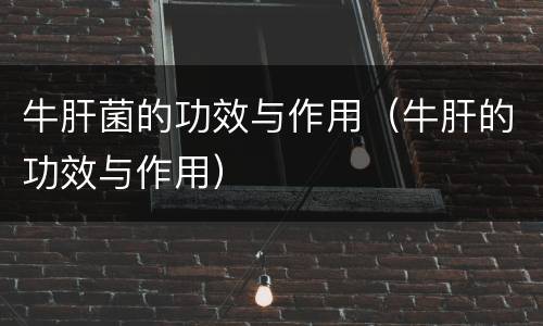 牛肝菌的功效与作用（牛肝的功效与作用）