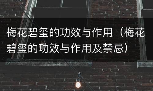 梅花碧玺的功效与作用（梅花碧玺的功效与作用及禁忌）