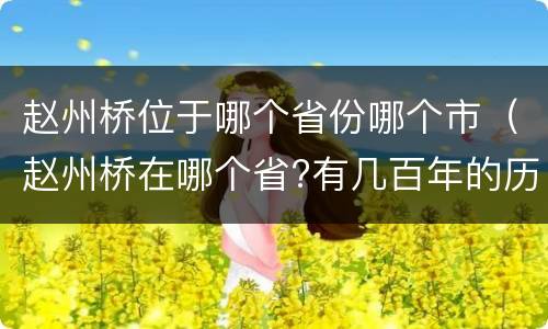 赵州桥位于哪个省份哪个市（赵州桥在哪个省?有几百年的历史了?）