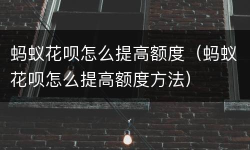 蚂蚁花呗怎么提高额度（蚂蚁花呗怎么提高额度方法）