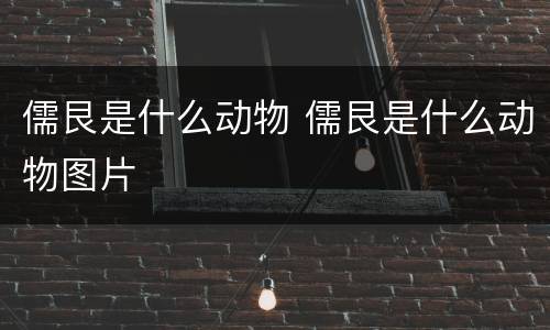 儒艮是什么动物 儒艮是什么动物图片