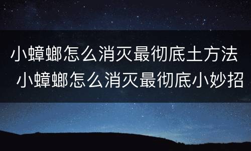 小蟑螂怎么消灭最彻底土方法 小蟑螂怎么消灭最彻底小妙招