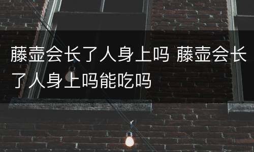藤壶会长了人身上吗 藤壶会长了人身上吗能吃吗