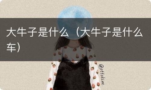 大牛子是什么（大牛子是什么车）