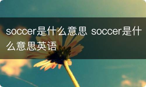soccer是什么意思 soccer是什么意思英语