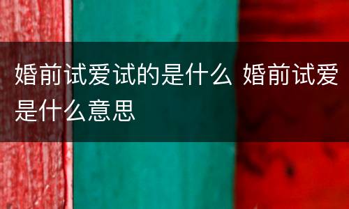 婚前试爱试的是什么 婚前试爱是什么意思