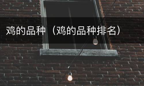 鸡的品种（鸡的品种排名）