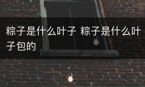 粽子是什么叶子 粽子是什么叶子包的