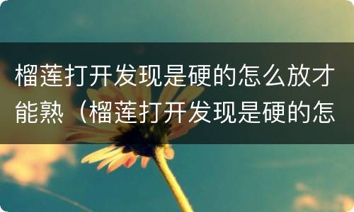 榴莲打开发现是硬的怎么放才能熟（榴莲打开发现是硬的怎么放才能熟呢）