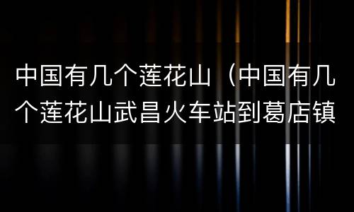 中国有几个莲花山（中国有几个莲花山武昌火车站到葛店镇有夜班车吗）