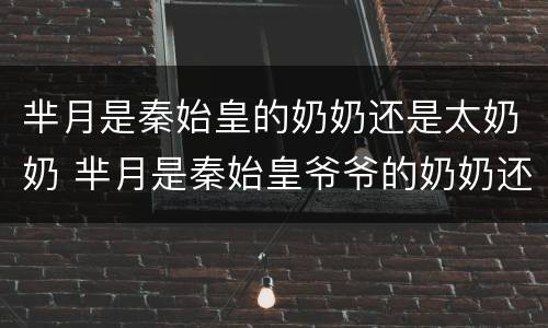 芈月是秦始皇的奶奶还是太奶奶 芈月是秦始皇爷爷的奶奶还是妈妈