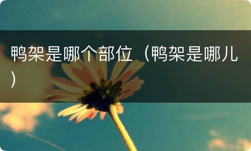 鸭架是哪个部位（鸭架是哪儿）