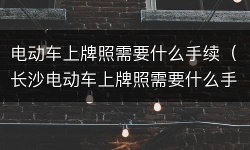 电动车上牌照需要什么手续（长沙电动车上牌照需要什么手续）
