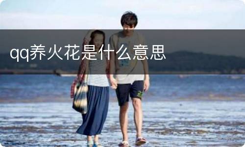 qq养火花是什么意思